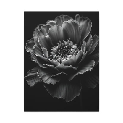 Layered Peony in Soft Shadow Wall Art & Canvas Prints