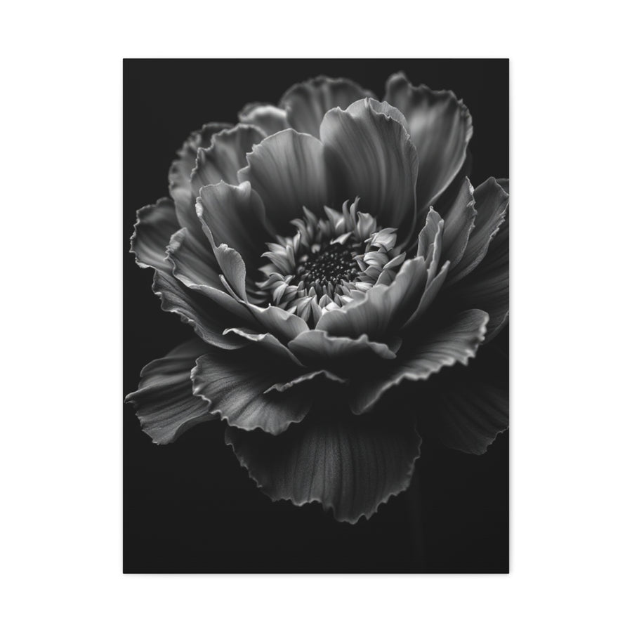 Layered Peony in Soft Shadow Wall Art & Canvas Prints