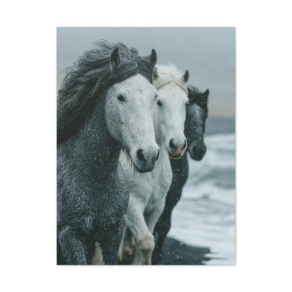 Coastal Wild Horses Storm Run Wall Art & Canvas Print