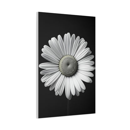 White Daisy Bloom Portrait Wall Art & Canvas Prints