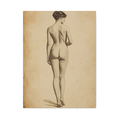 Classical Back Study Figure Wall Art & Canvas Print