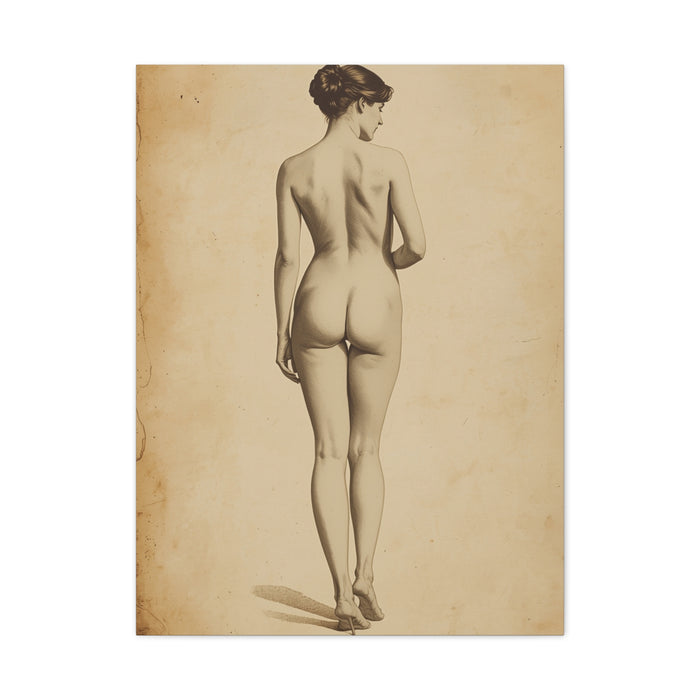 Classical Back Study Figure Wall Art & Canvas Print