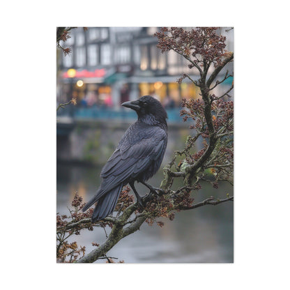 Raven on a Tree Branch Wall Art & Canvas Print