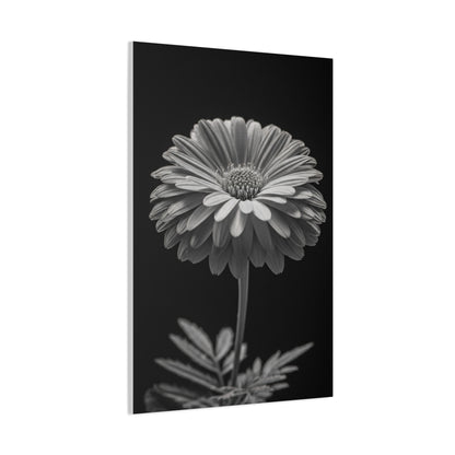 Classic Gerbera Portrait Wall Art & Canvas Prints