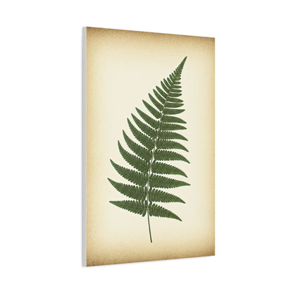 Fern Frond Illustration Wall Art & Canvas Prints