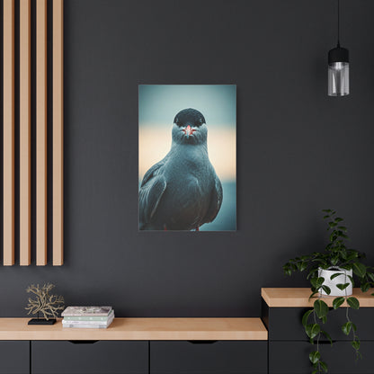 Arctic Tern Portrait Wall Art & Canvas Prints