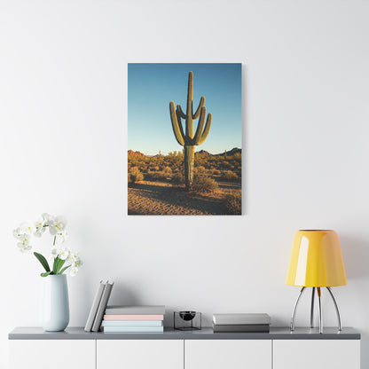Desert Saguaro Sentinel Wall Art & Canvas Prints