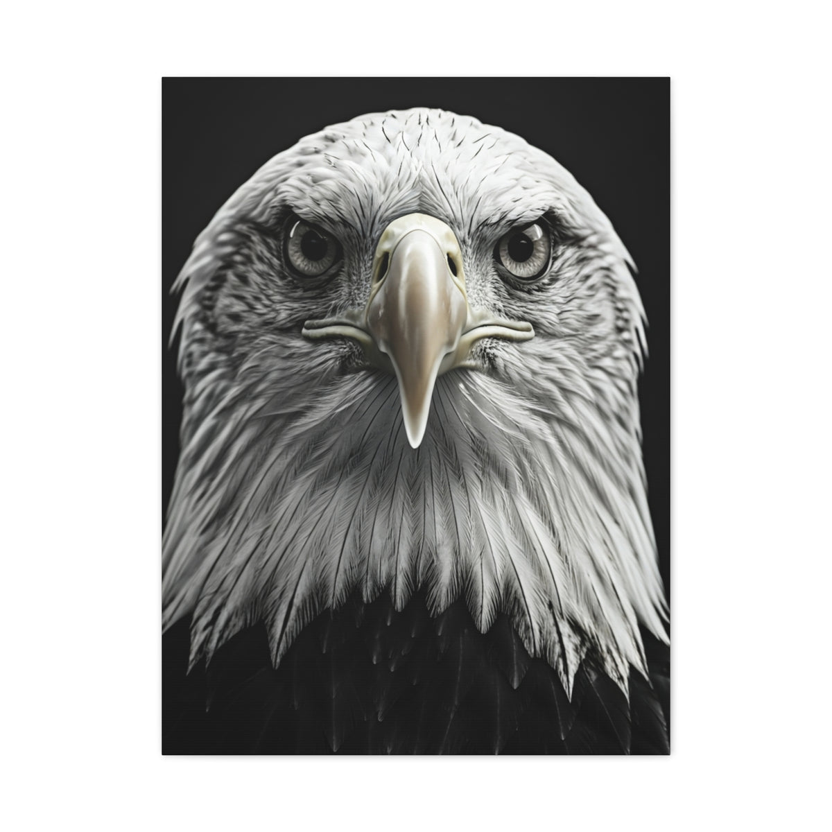 Bald Eagle Power Portrait Wall Art & Canvas Prints