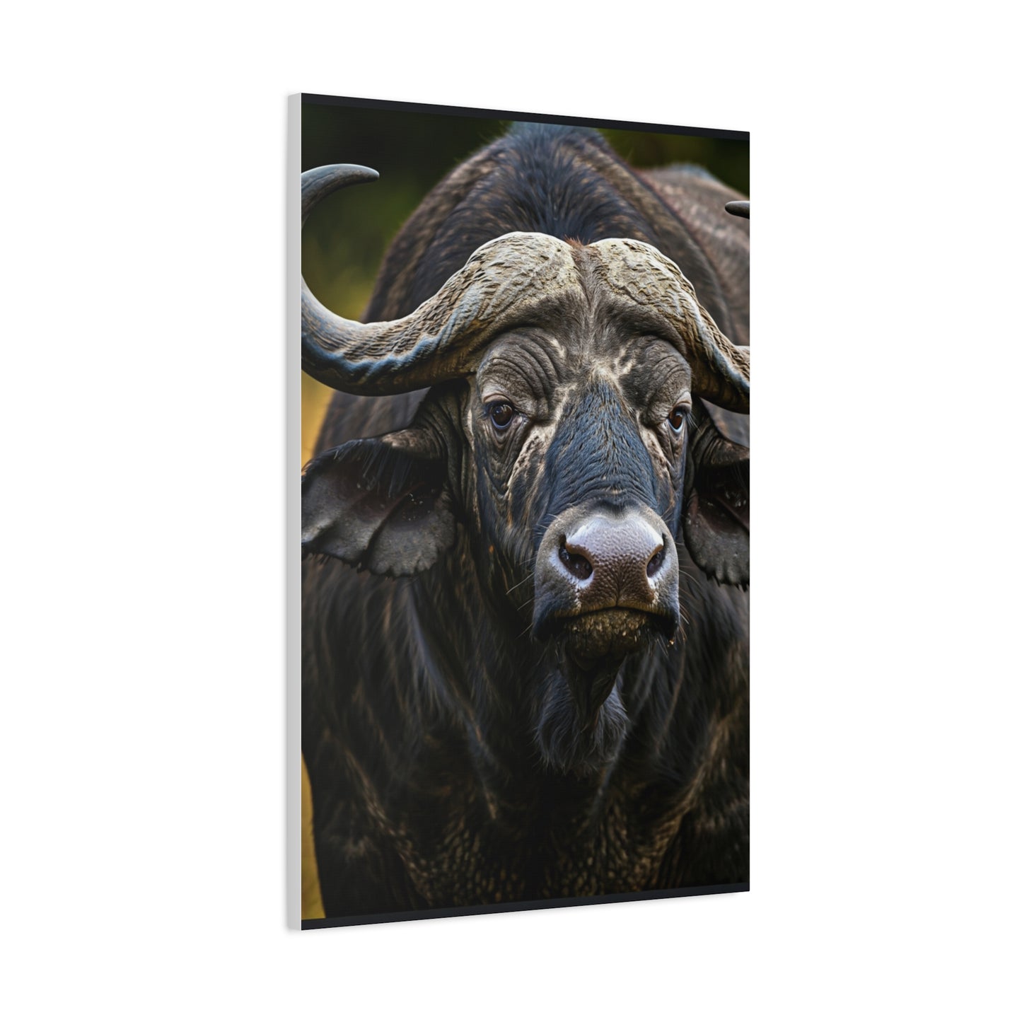 Mud-Covered Water Buffalo Close-Up Wall Art & Canvas Print