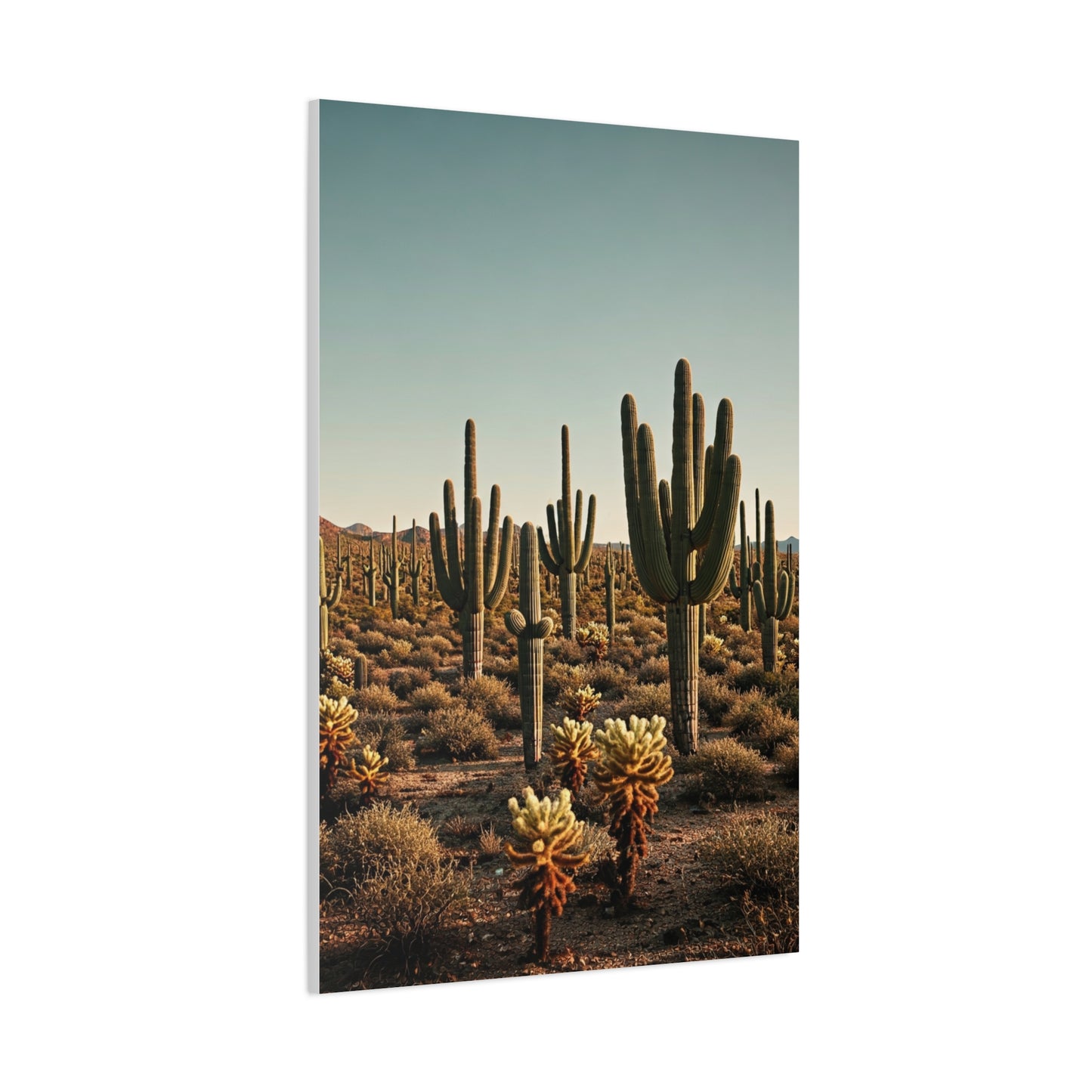 Saguaro Valley Desert Landscape Wall Art & Canvas Prints
