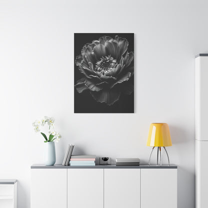 Layered Peony in Soft Shadow Wall Art & Canvas Prints