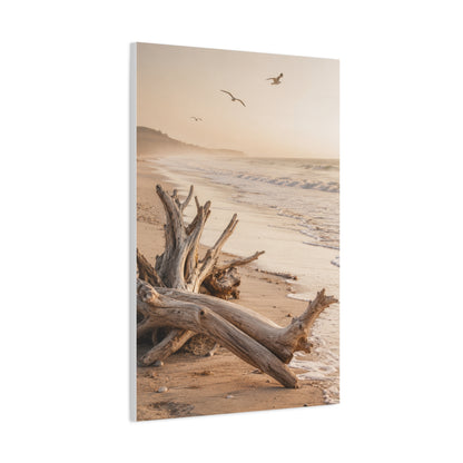 Driftwood Coastal Stillness Shore Wall Art & Canvas Print