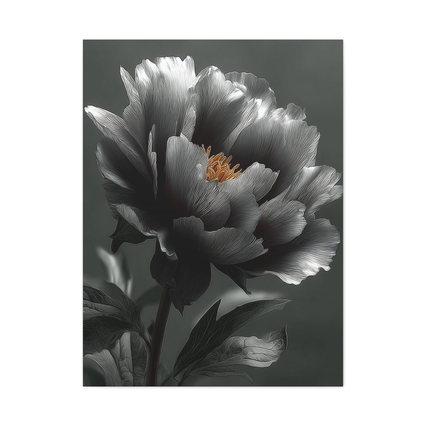 Silver Peony Fine Art Floral Wall Art & Canvas Print
