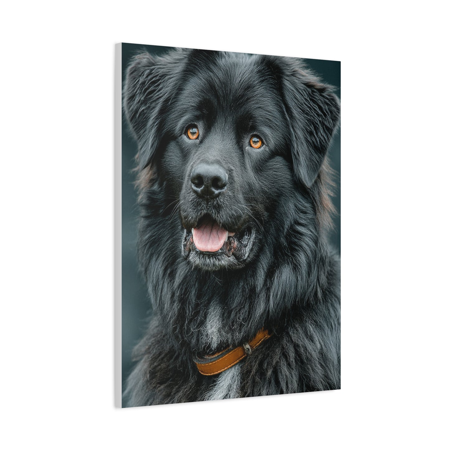 Noble Newfoundland Portrait Wall Art & Canvas Print