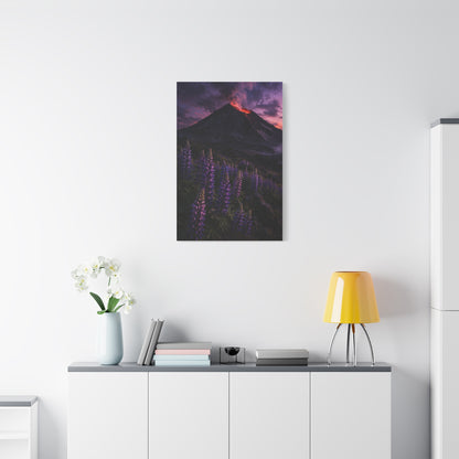Volcanic Twilight & Wild Lupines Wall Art & Canvas Print