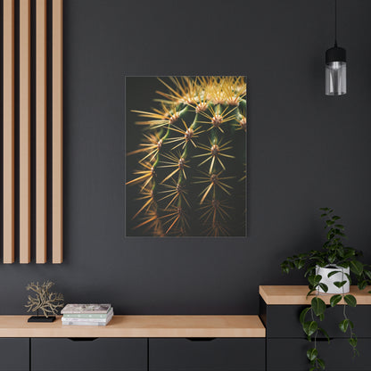 Desert Geometry Cactus Close-Up Wall Art & Canvas Prints