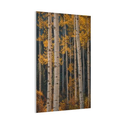 Golden Aspen Forest Autumn Vertical Trees Wall Art & Canvas Print