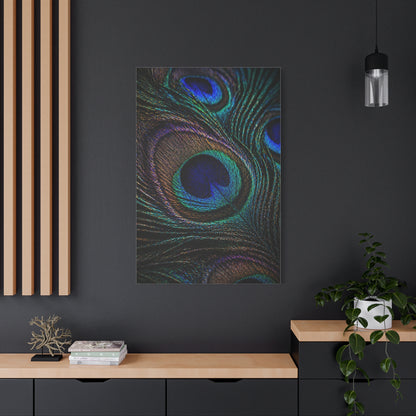 Macro Iridescent Peacock Feather Wall Art & Canvas Print