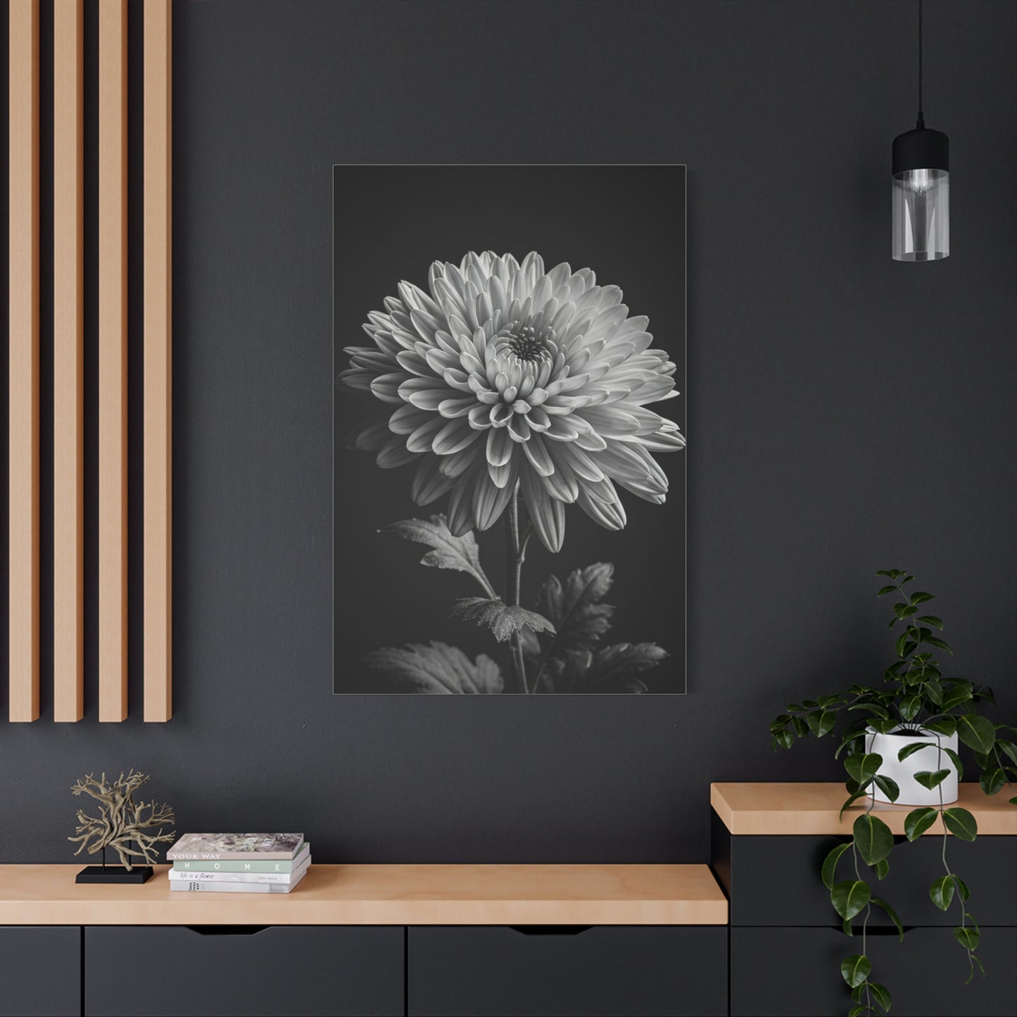 Chrysanthemum Bloom in Noir Wall Art & Canvas Prints