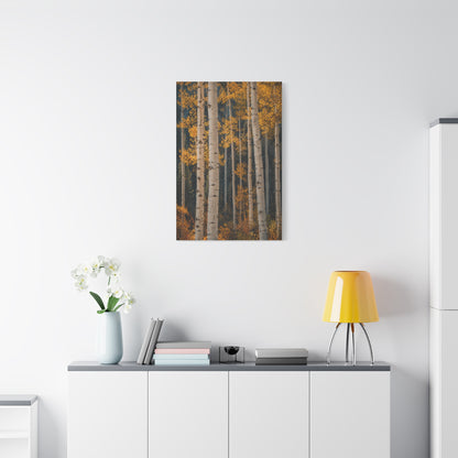 Golden Aspen Forest Autumn Vertical Trees Wall Art & Canvas Print