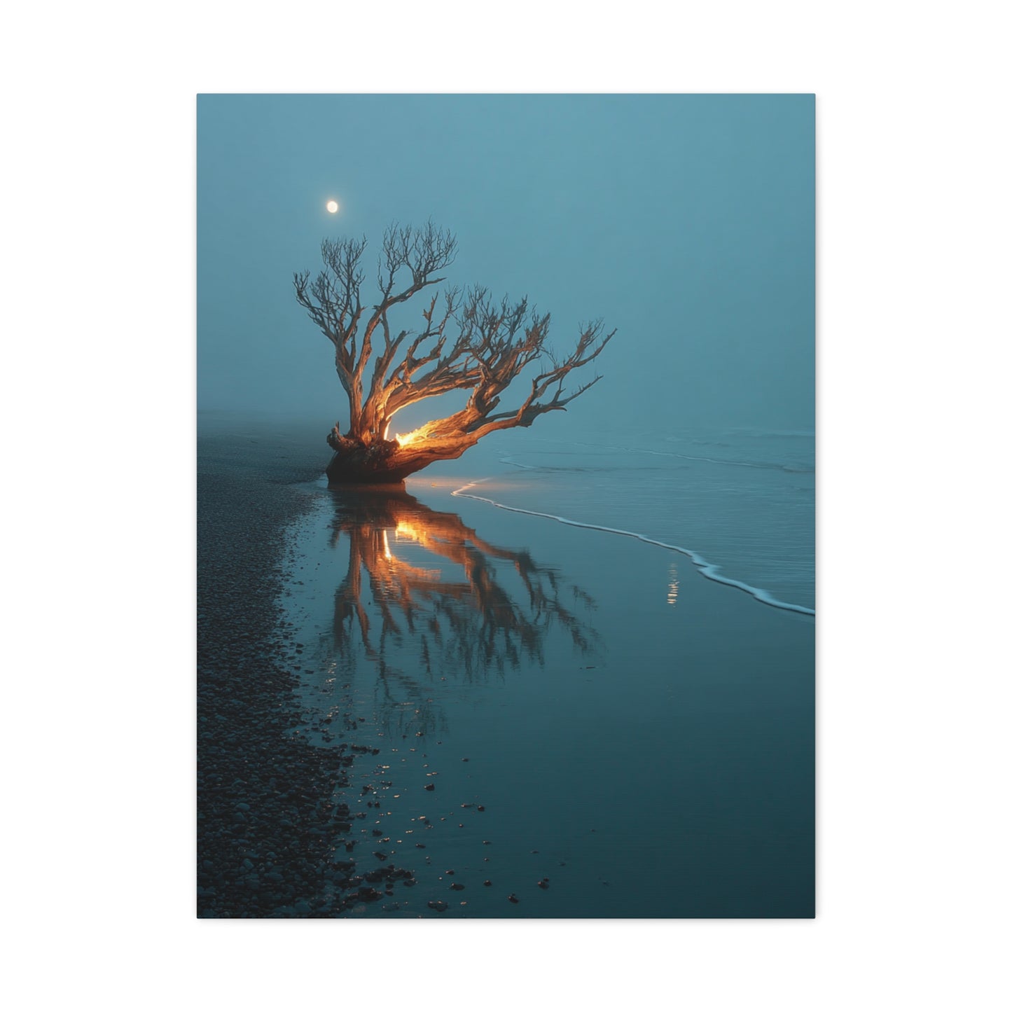 Moonlit Driftwood Shore Wall Art & Canvas Print