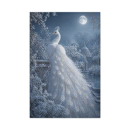 Snowy Moonlit White Peacock Wall Art & Canvas Print