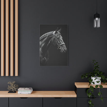 Elegant Black Stallion Profile Wall Art & Canvas Prints