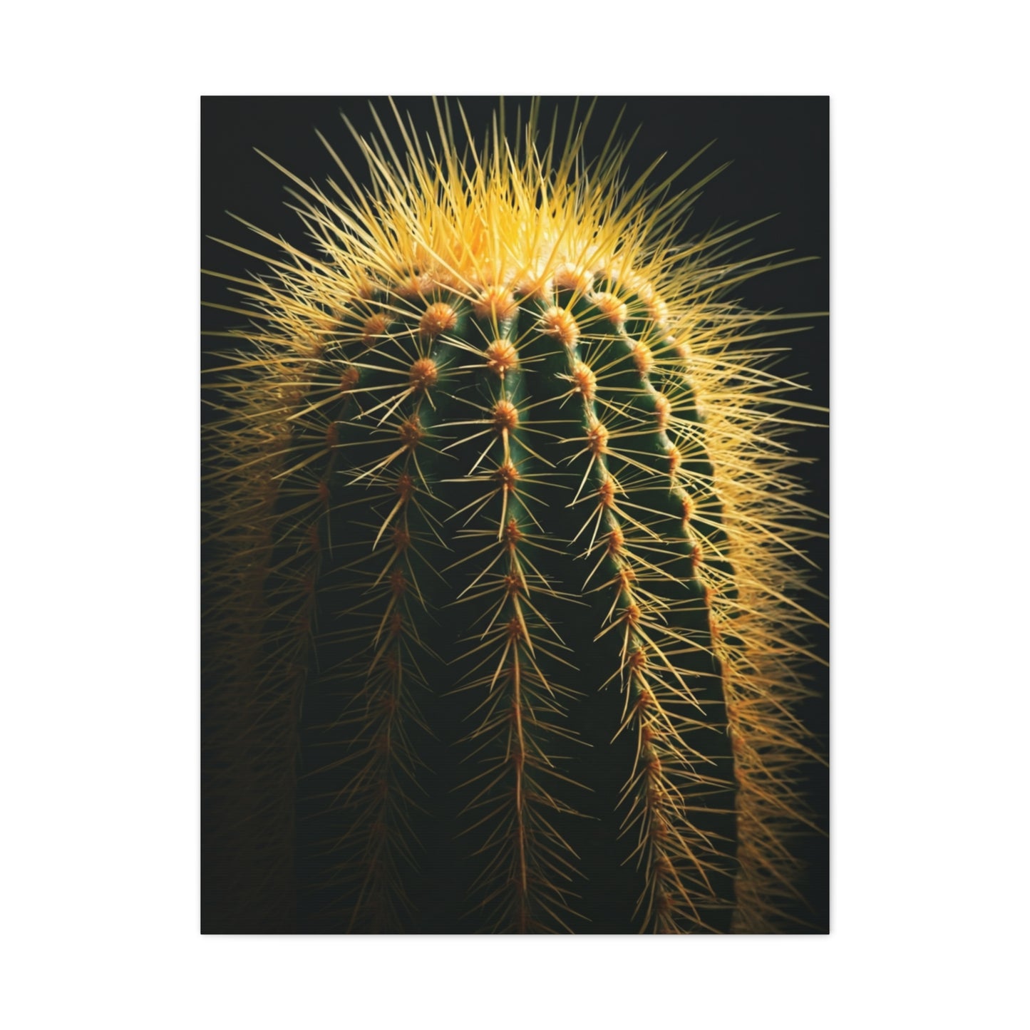 Desert Stone Barrel Cactus Wall Art & Canvas Prints
