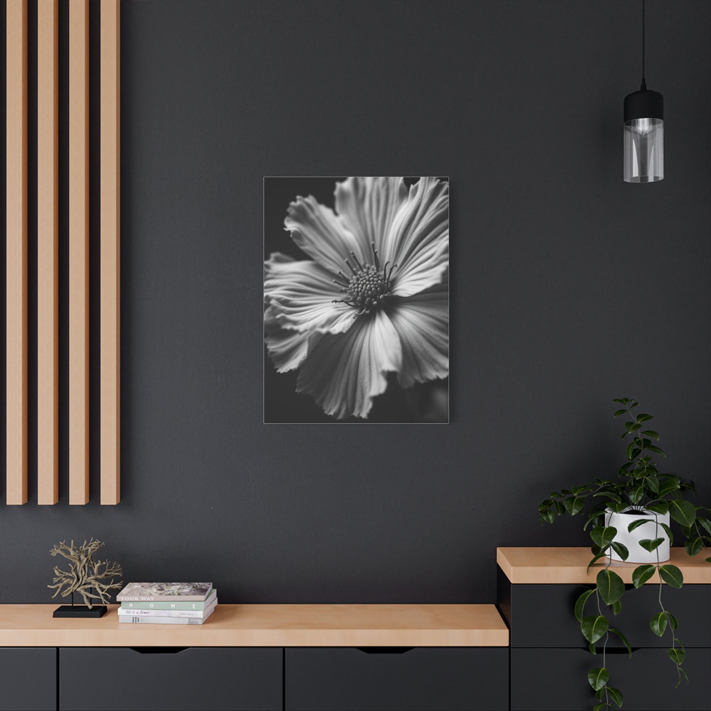 Dramatic Monochrome Cosmos Bloom Wall Art & Canvas Prints