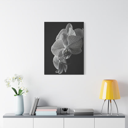 Elegant Orchid Portrait Monochrome Wall Art & Canvas Prints
