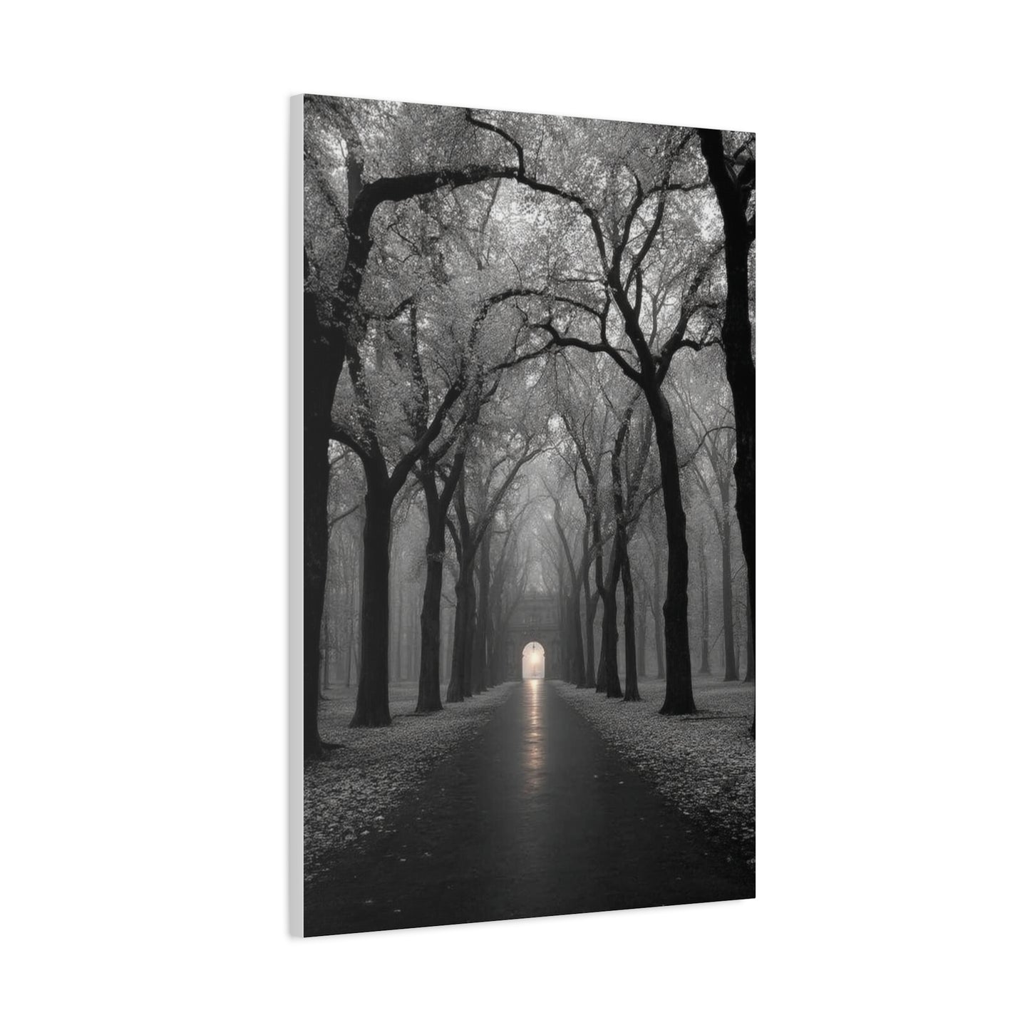 Misty Tree Avenue Monochrome Wall Art & Canvas Print