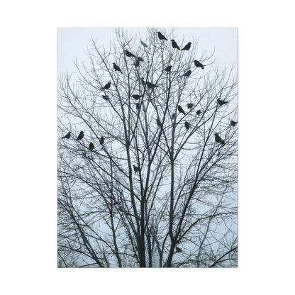 Tree of Crows Silhouette Wall Art & Canvas Print