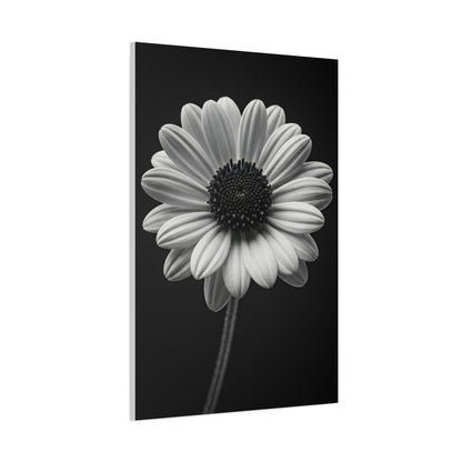 Bold Daisy Contrast Portrait Wall Art & Canvas Prints
