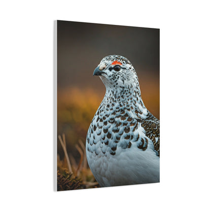 Snowy Grouse Portrait Wall Art & Canvas Prints
