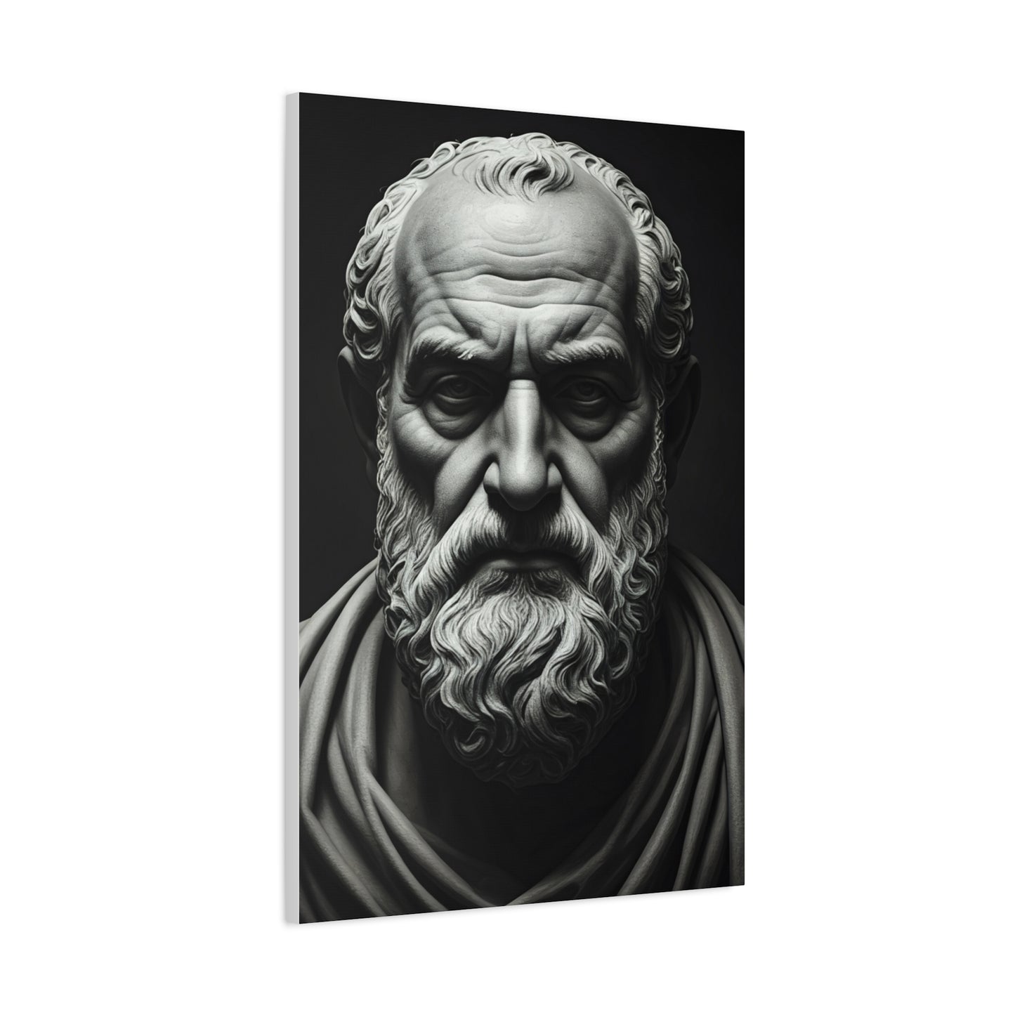 Timeless Wisdom Black & White Elder Portrait Wall Art & Canvas Prints