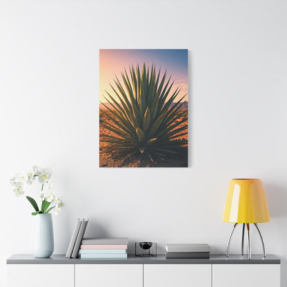 Desert Agave Sunburst Wall Art & Canvas Prints