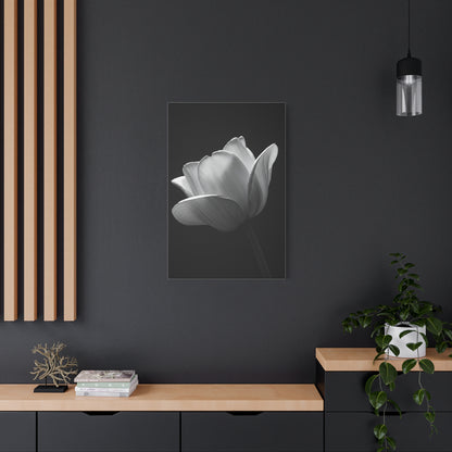 Orchid Symmetry in Black & White Wall Art & Canvas Prints