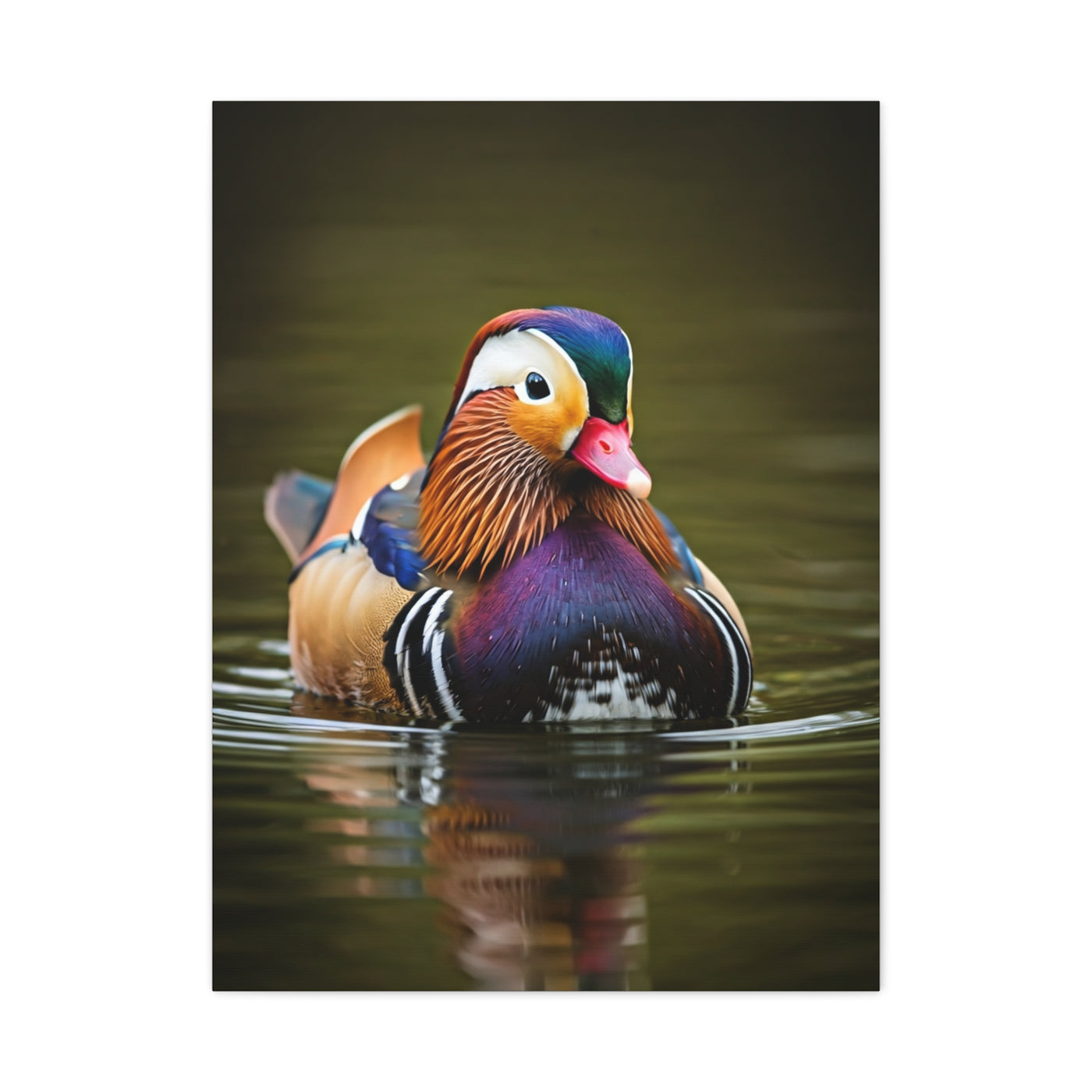 Mandarin Duck with Colorful Plumage Wall Art & Canvas Prints