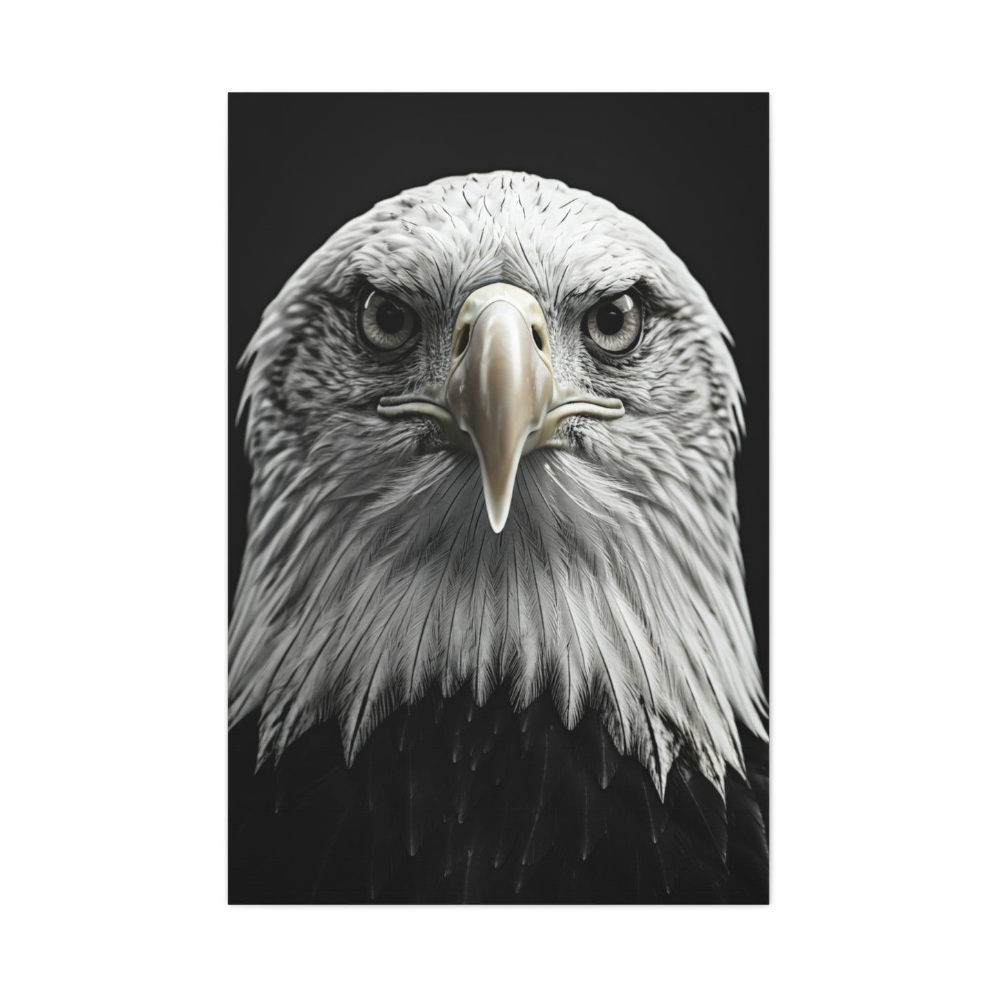Bald Eagle Power Portrait Wall Art & Canvas Prints