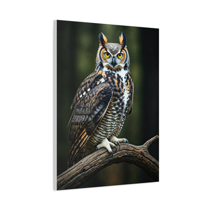 Majestic Owl Perch Wall Art & Canvas Prints