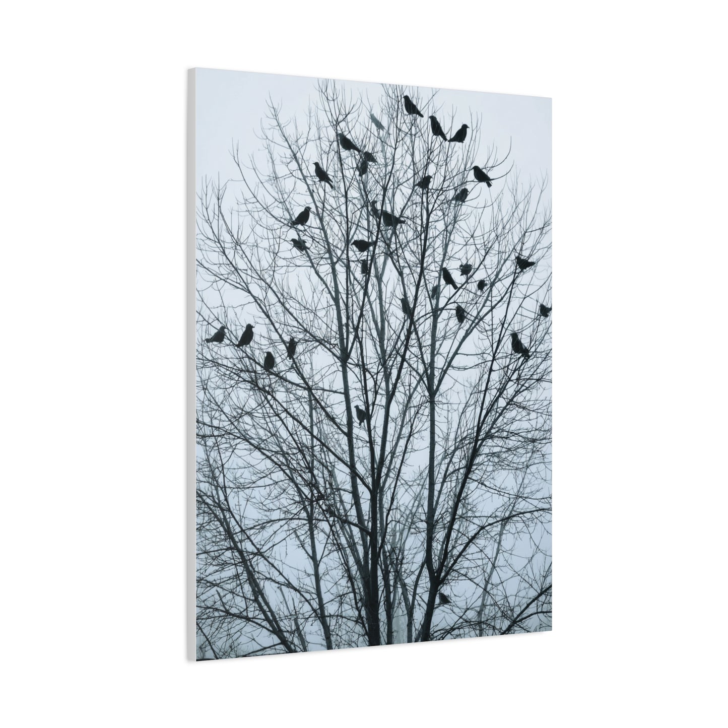 Tree of Crows Silhouette Wall Art & Canvas Print