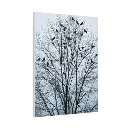 Tree of Crows Silhouette Wall Art & Canvas Print