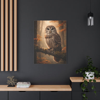 Barred Owl Autumn Forest Portrait Wall Art & Canvas Print