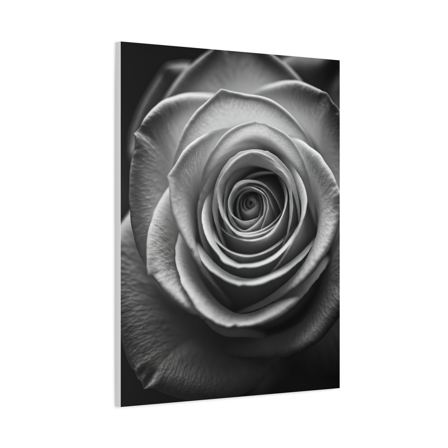 Monochrome Daisy Center Detail Wall Art & Canvas Prints