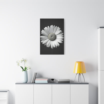 White Daisy Bloom Portrait Wall Art & Canvas Prints