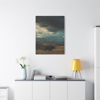 Storm Valley Black Bull Wall Art & Canvas Print