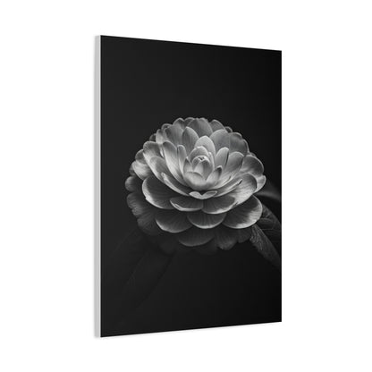 Full Bloom Camellia in Deep Contrast Wall Art & Canvas Prints