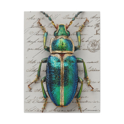 Emerald Beetle Natural History Wall Art & Canvas Print