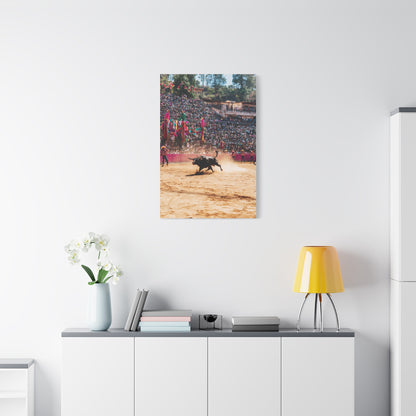 Latin American Bull Festival Arena Wall Art & Canvas Print