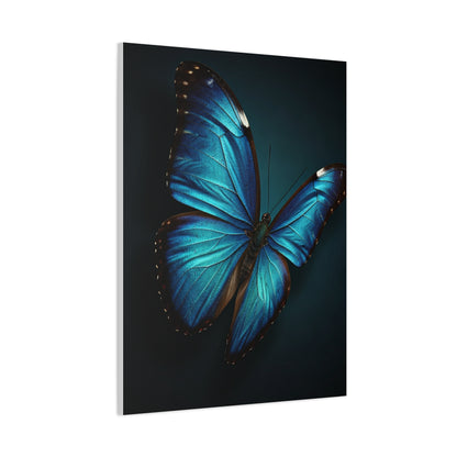 Blue Morpho Butterfly Wings Spread Wall Art & Canvas Prints
